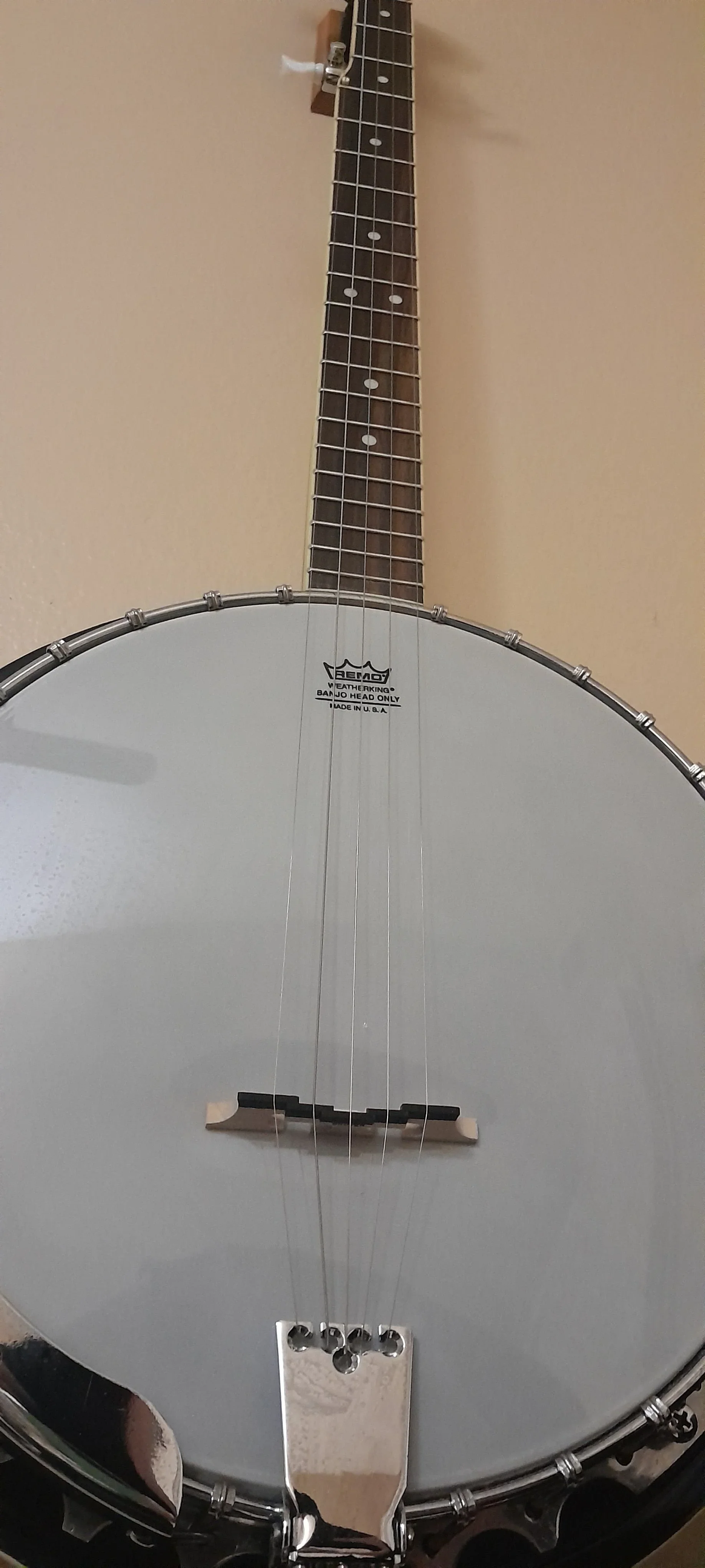 Washburn banjo full body view
